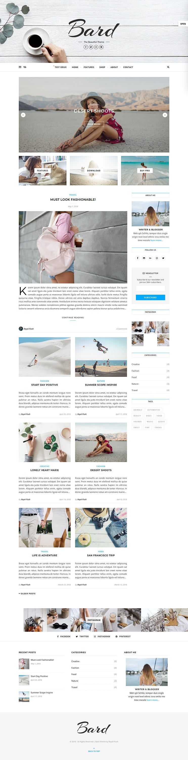 10+ Best Free FullScreen WordPress Themes bard best free fullscreen wordpress theme - 10+ Best Free FullScreen WordPress Themes
