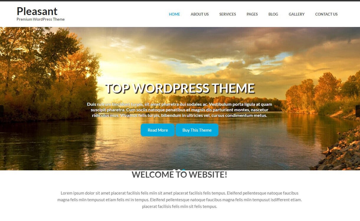 11+ Best Free Responsive WordPress Themes November 2016 pleasant lite 1 - 11+ Best Free Responsive WordPress Themes November 2016