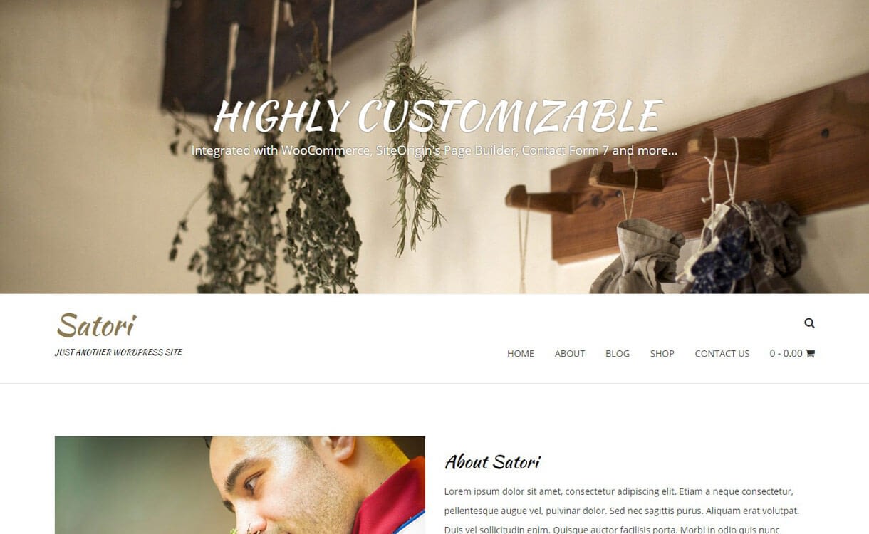 11+ Best Free Responsive WordPress Themes November 2016 satori 1 - 11+ Best Free Responsive WordPress Themes November 2016