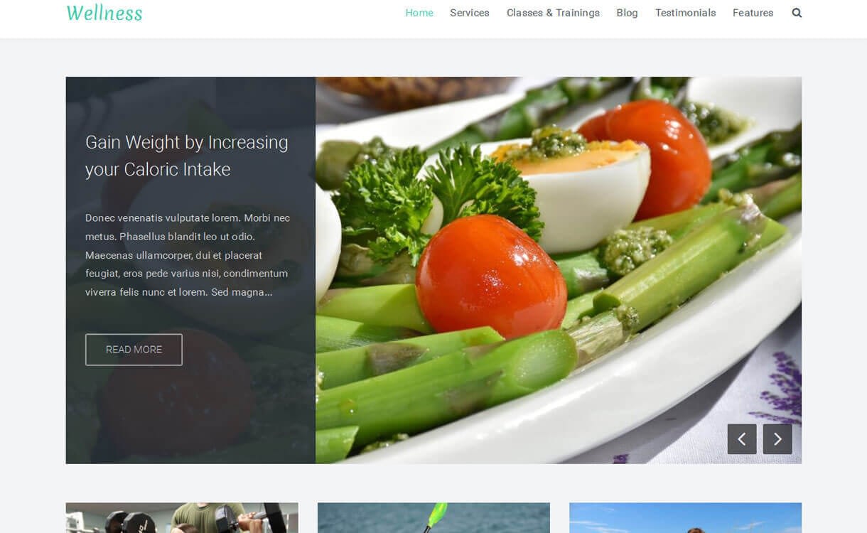11+ Best Free Responsive WordPress Themes December 2016 Wellness - 11+ Best Free Responsive WordPress Themes December 2016