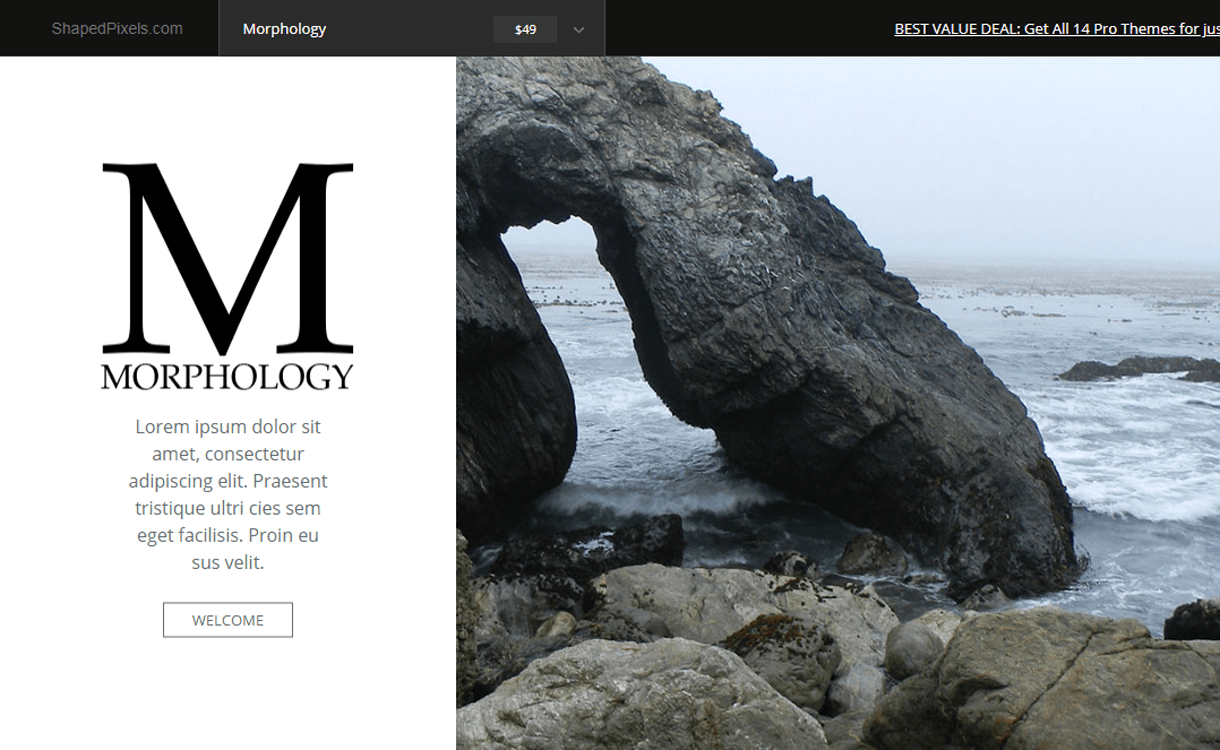 30+ Best Free WordPress Photography Themes for 2019 morphology best free photography wordpress themes - 30+ Best Free WordPress Photography Themes for 2019