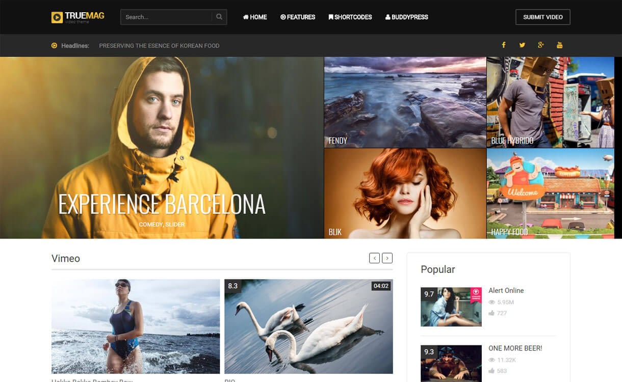 15+ Best Responsive WordPress Video Themes 2019 True Mag - 15+ Best Responsive WordPress Video Themes 2019