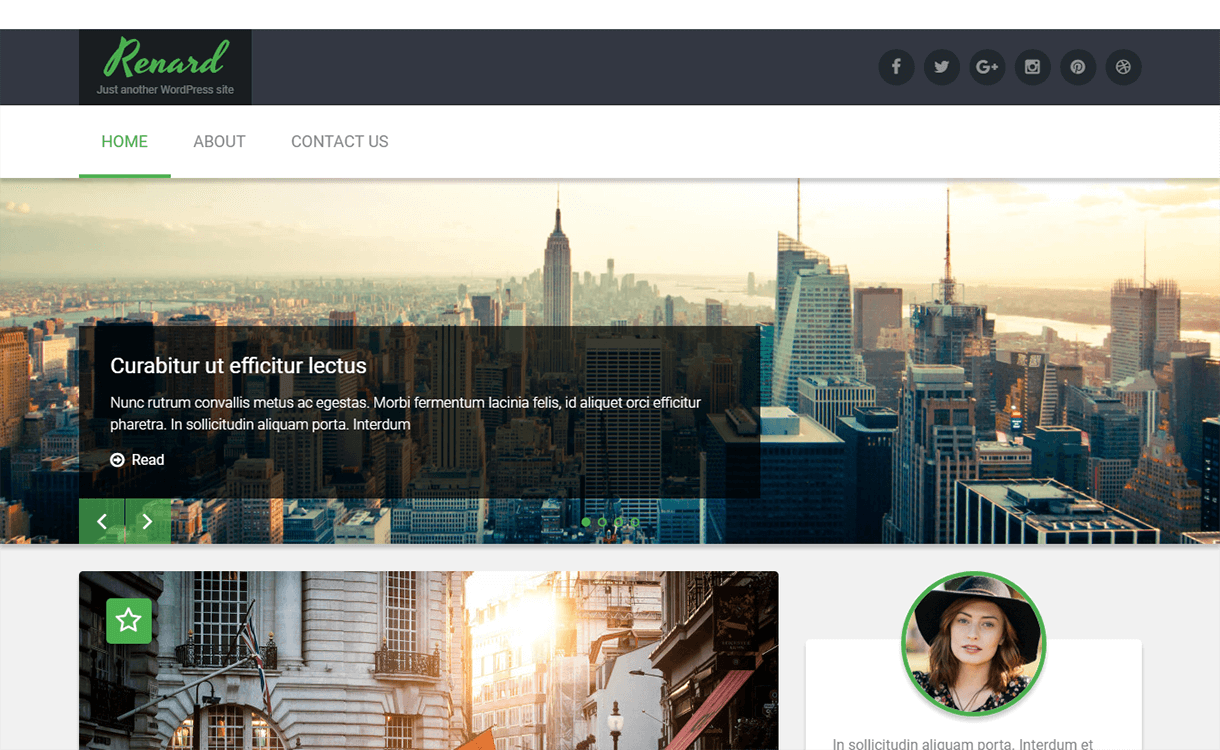 15 Best Free Material Design WordPress Themes for 2019 renard wordpress material design - 15 Best Free Material Design WordPress Themes for 2019