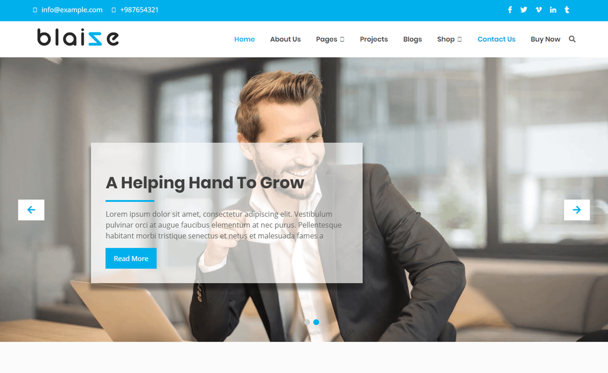 21+ Best Free WordPress Themes June 2018 blaize best free wordpress themes june - 21+ Best Free WordPress Themes June 2018