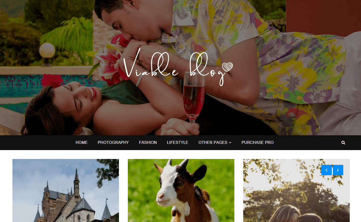 25+ Best Free WordPress Themes August 2018 viable blog best free wordpress themes august - 25+ Best Free WordPress Themes August 2018