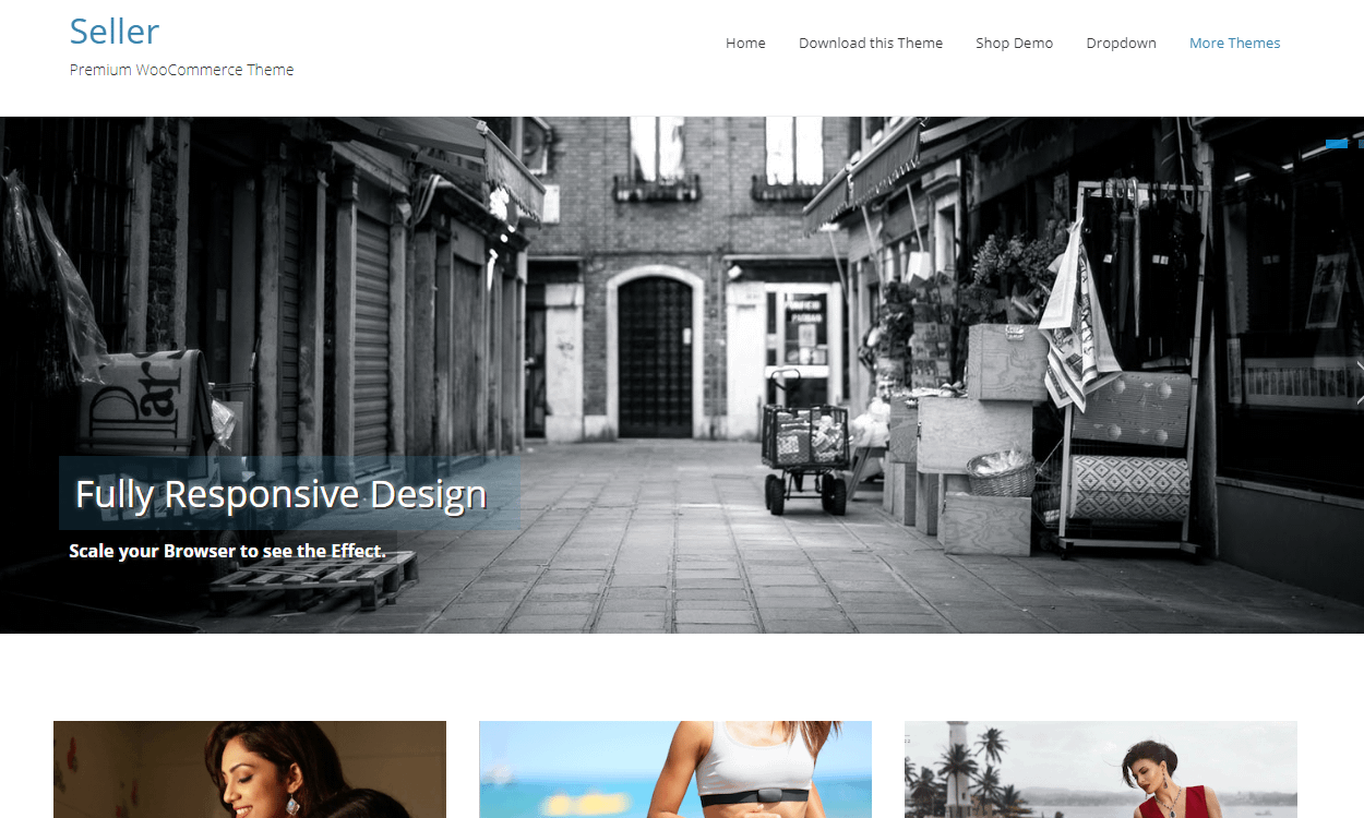 17+ Responsive Free eCommerce WordPress Themes for 2019 seller - 17+ Responsive Free eCommerce WordPress Themes for 2019