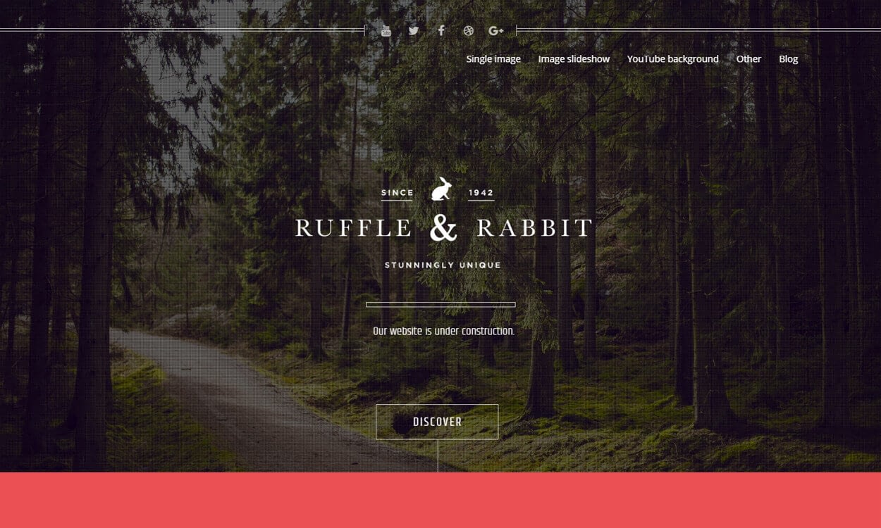 10+ Best Coming Soon and Under Maintenance WordPress Themes and Templates(Premium Version) rabbit - 10+ Best Coming Soon and Under Maintenance WordPress Themes and Templates(Premium Version)
