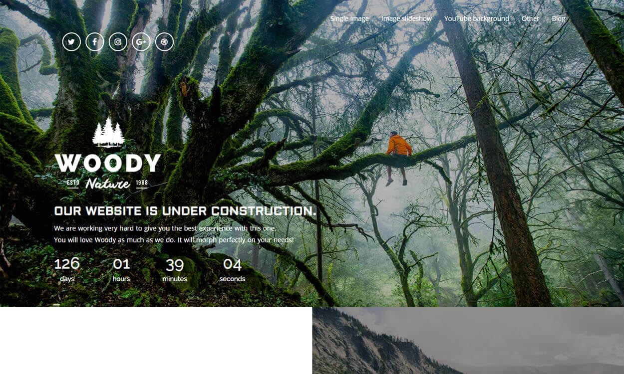 10+ Best Coming Soon and Under Maintenance WordPress Themes and Templates(Premium Version) woody - 10+ Best Coming Soon and Under Maintenance WordPress Themes and Templates(Premium Version)