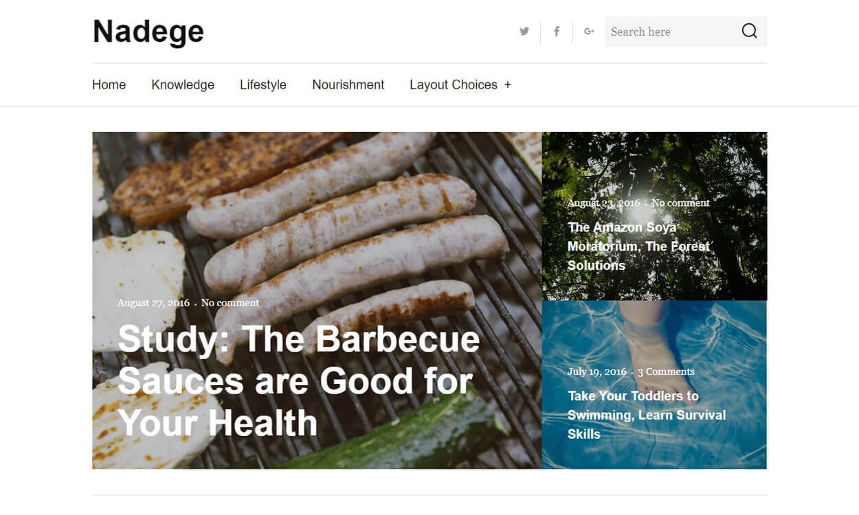 25+ Best Free WordPress Themes August 2018 nadege - 25+ Best Free WordPress Themes August 2018