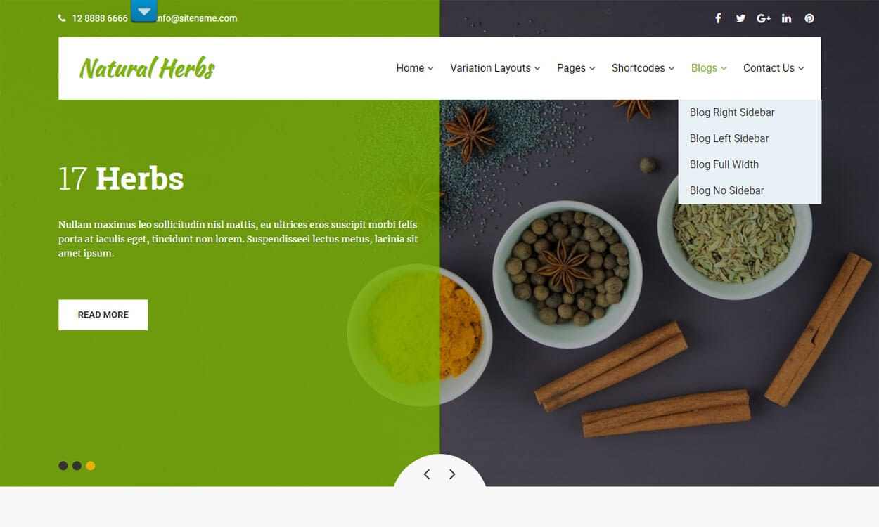 25+ Best Free WordPress Themes August 2018 natural herbs - 25+ Best Free WordPress Themes August 2018