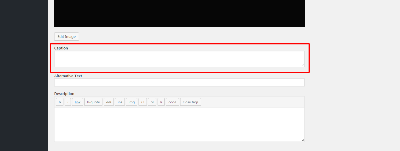How to add caption to images in WordPress How to add caption to images - How to add caption to images in WordPress
