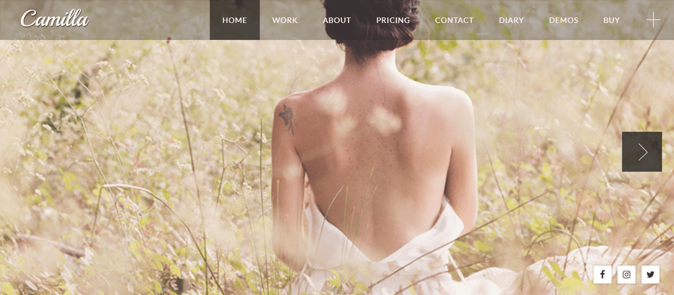 10+ Best Premium FullScreen WordPress Themes camilla best premium fullscreen wordpress theme - 10+ Best Premium FullScreen WordPress Themes