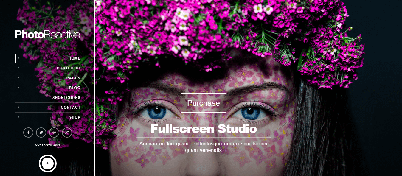 10+ Best Premium FullScreen WordPress Themes photoreactive best premium fullscreen wordpress theme - 10+ Best Premium FullScreen WordPress Themes