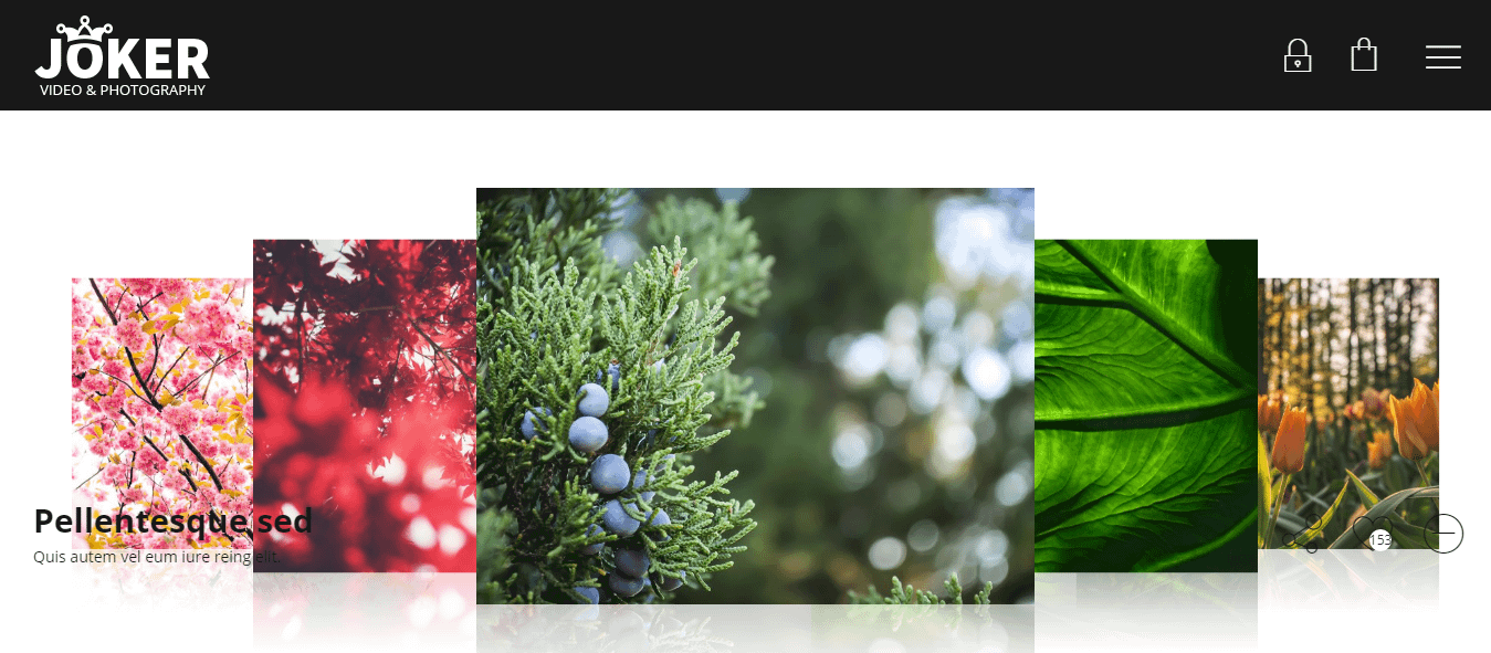 10+ Best Premium Gallery WordPress Themes joker best premium gallery wordpress theme - 10+ Best Premium Gallery WordPress Themes