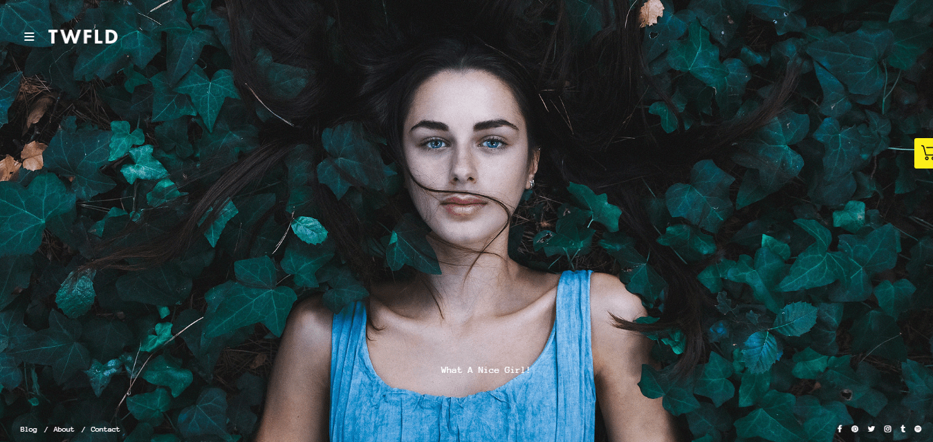 10+ Best Premium FullScreen WordPress Themes twofold best premium fullsreen wordpress themes - 10+ Best Premium FullScreen WordPress Themes