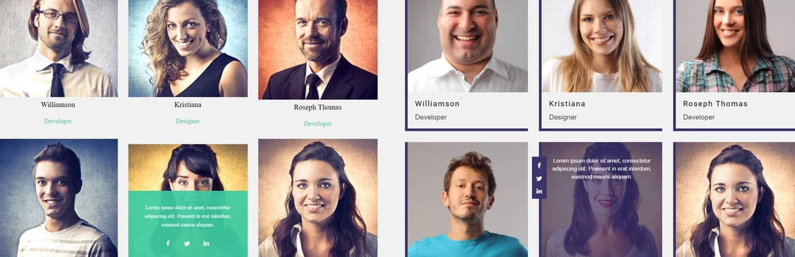 5+ Best Free WordPress Team Showcase Plugins (Handpicked Collection) team member showcase - 5+ Best Free WordPress Team Showcase Plugins (Handpicked Collection)