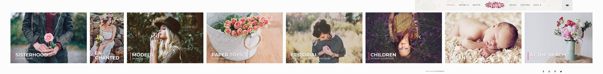 10+ Best Feminine WordPress Themes (Premium Version) aster best premium feminine wordpress theme - 10+ Best Feminine WordPress Themes (Premium Version)