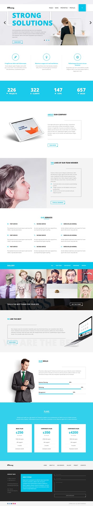 10+ Best Premium Accounting WordPress Themes strong best premium accounting wordpress theme - 10+ Best Premium Accounting WordPress Themes