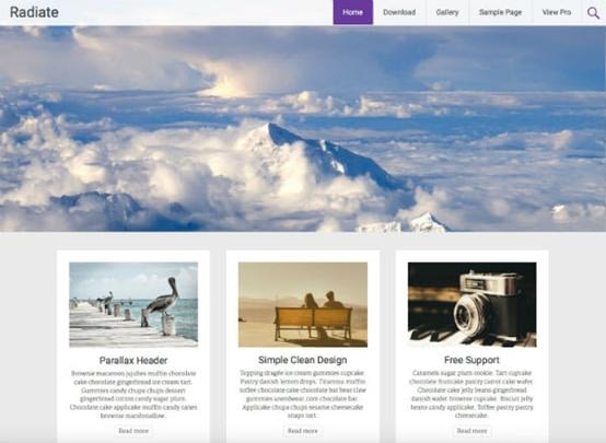 How To Write An Engaging WordPress Blog? WordPress Design - How To Write An Engaging WordPress Blog?