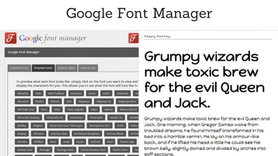 How to Choose Typography for your WordPress Website Google Font Manager - How to Choose Typography for your WordPress Website