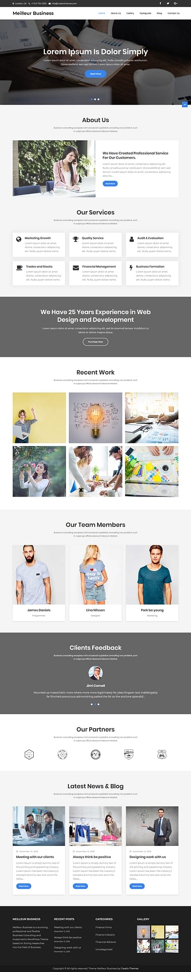 10+ Best Free Accounting WordPress Themes meilleur business best free accounting wordpress theme - 10+ Best Free Accounting WordPress Themes