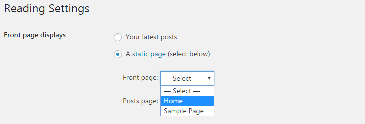 How to use page template in your WordPress website step 13 - How to use page template in your WordPress website