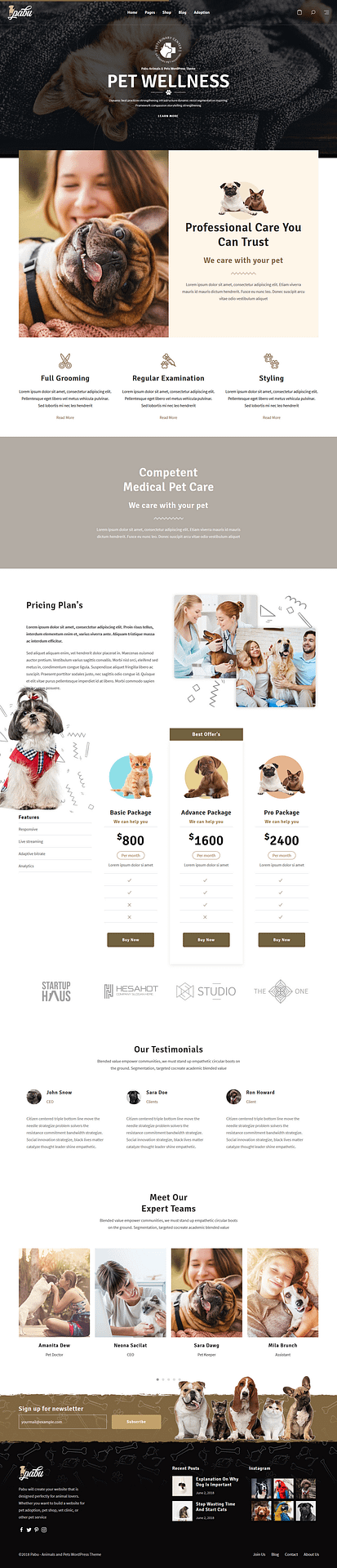 10+ Best Premium Animal and Pet WordPress Themes pabu best premium animal and pet wordpress theme - 10+ Best Premium Animal and Pet WordPress Themes