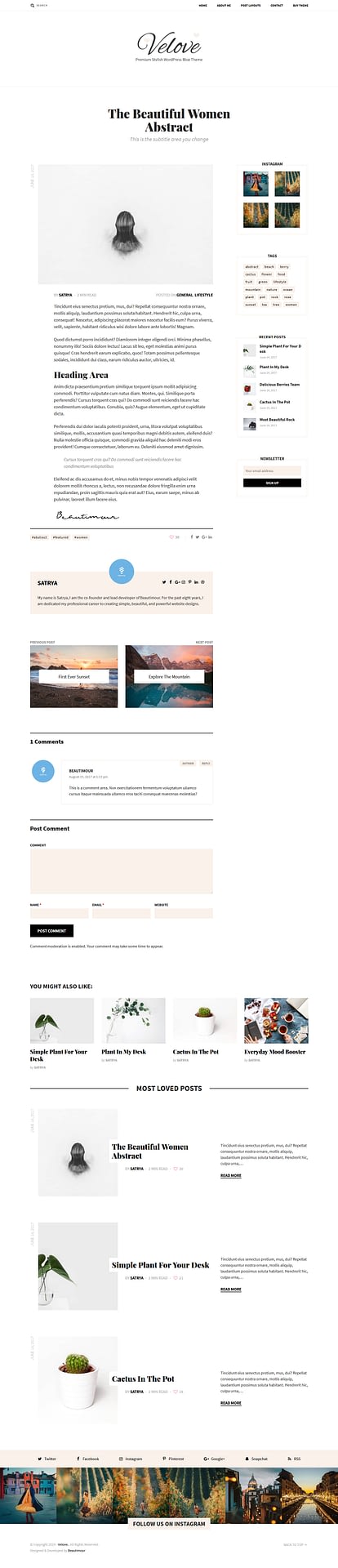 10+ Best Feminine WordPress Themes (Premium Version) velove best premium feminine wordpress theme - 10+ Best Feminine WordPress Themes (Premium Version)