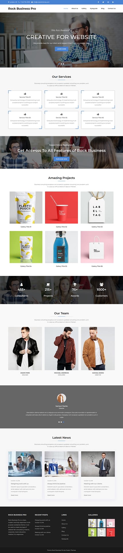 10+ Best Free Accounting WordPress Themes rock business best free accounting wordpress theme - 10+ Best Free Accounting WordPress Themes