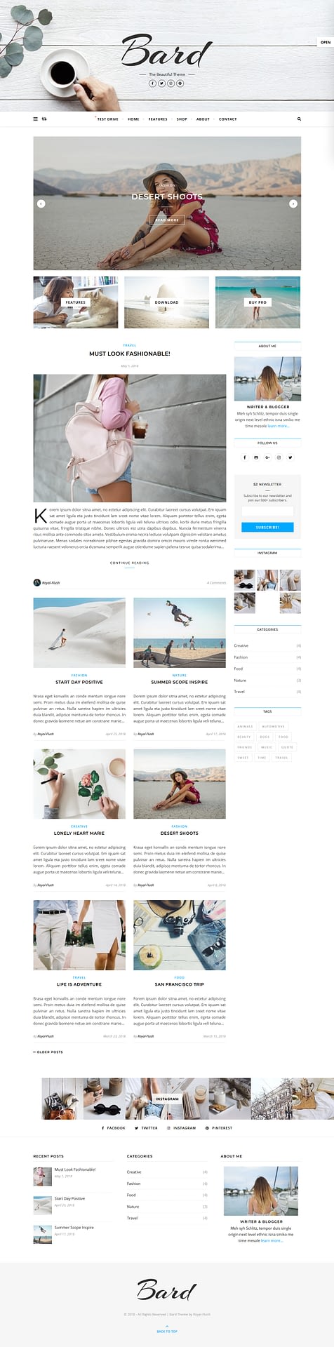10+ Best Free FullScreen WordPress Themes bard best free fullscreen wordpress theme - 10+ Best Free FullScreen WordPress Themes