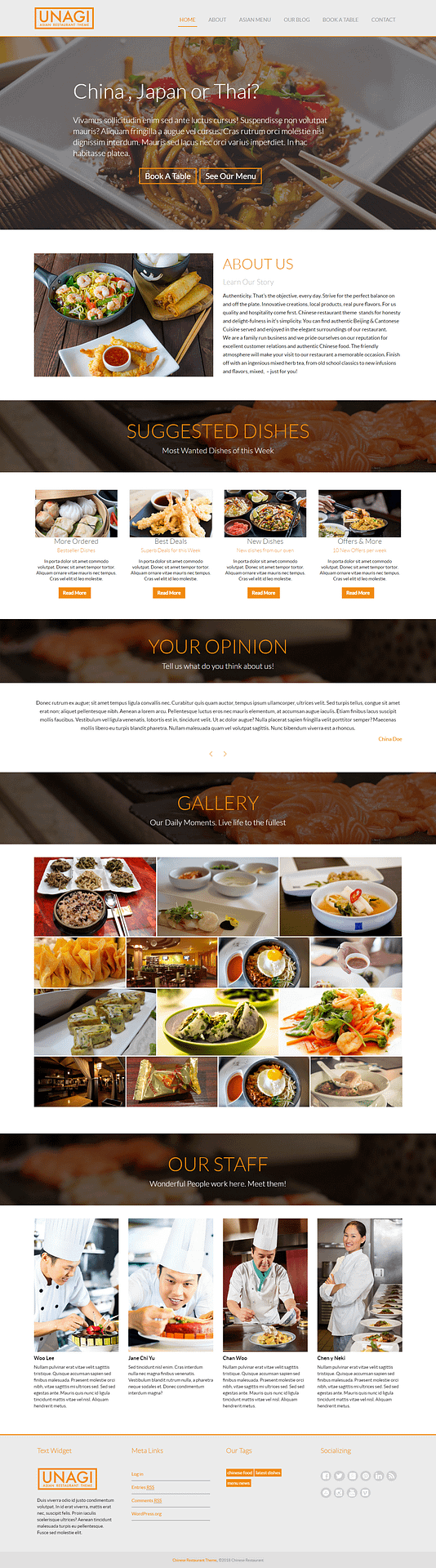 10+ Best Free Bar and Pub WordPress Themes chinese restaurant lite best free bar pub wordpress theme - 10+ Best Free Bar and Pub WordPress Themes