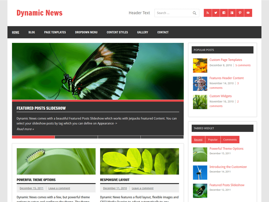 50+ Best Free Responsive WordPress Themes 2019 Dynamic News Lite - 50+ Best Free Responsive WordPress Themes 2019