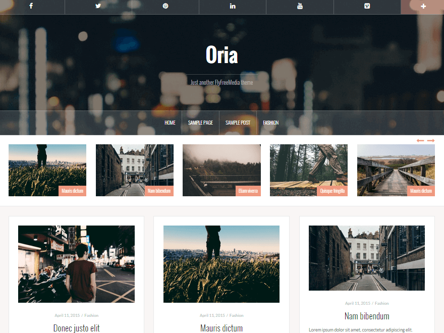 50+ Best Free Responsive WordPress Themes 2019 Oria - 50+ Best Free Responsive WordPress Themes 2019