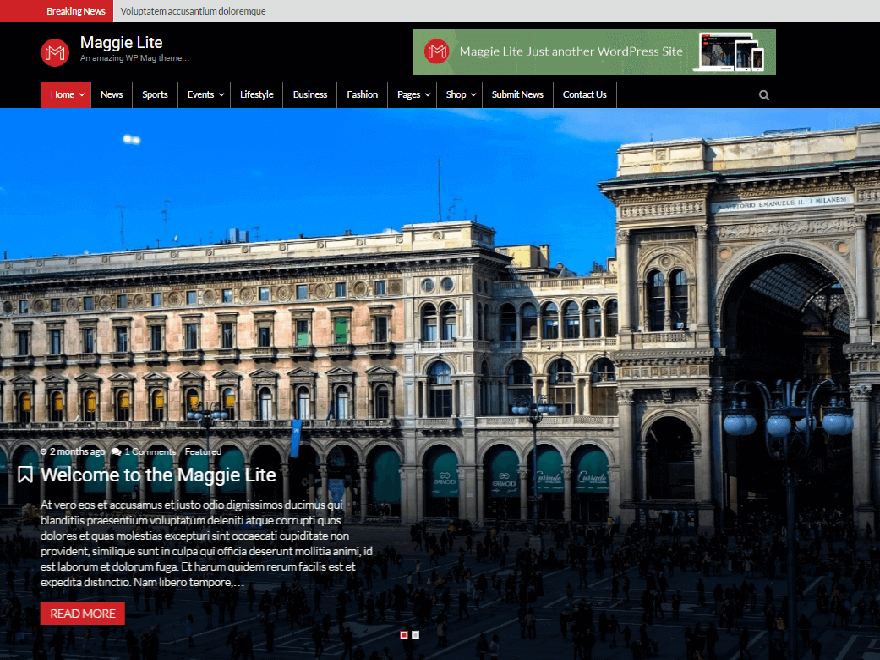 50+ Best Free Responsive WordPress Themes 2019 maggie lite - 50+ Best Free Responsive WordPress Themes 2019