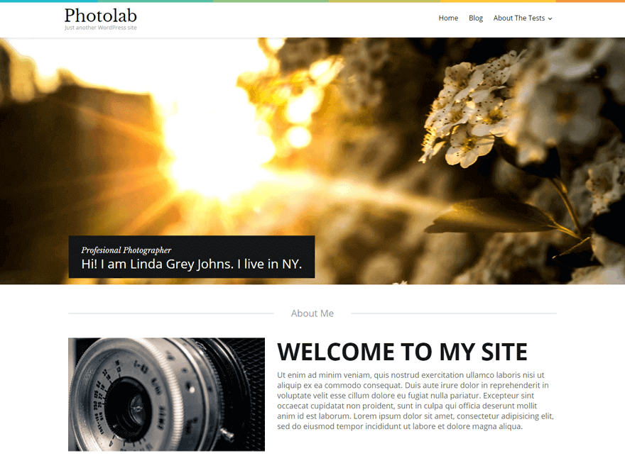 23+ Best Free Photography WordPress Themes & Templates 2019 photolab - 23+ Best Free Photography WordPress Themes & Templates 2019