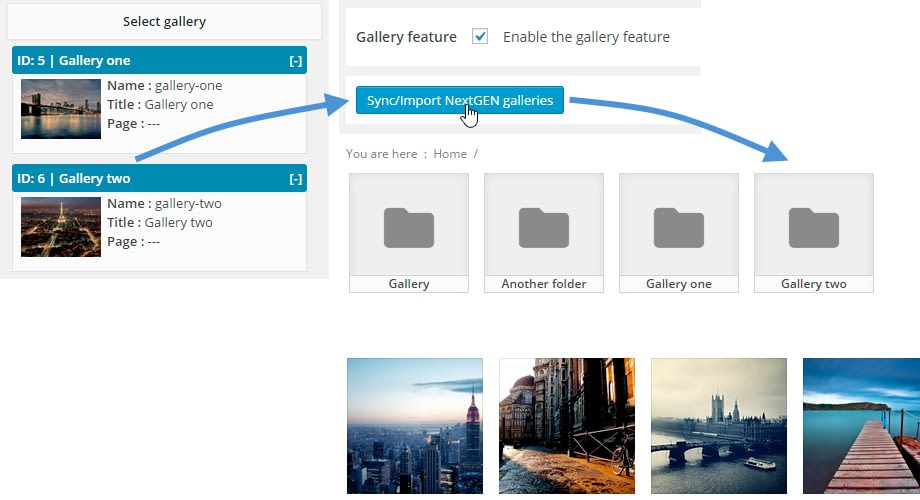 WP Media Folder – Best Feature-rich WordPress Media Manager Plugin NextGEN gallery importer - WP Media Folder – Best Feature-rich WordPress Media Manager Plugin