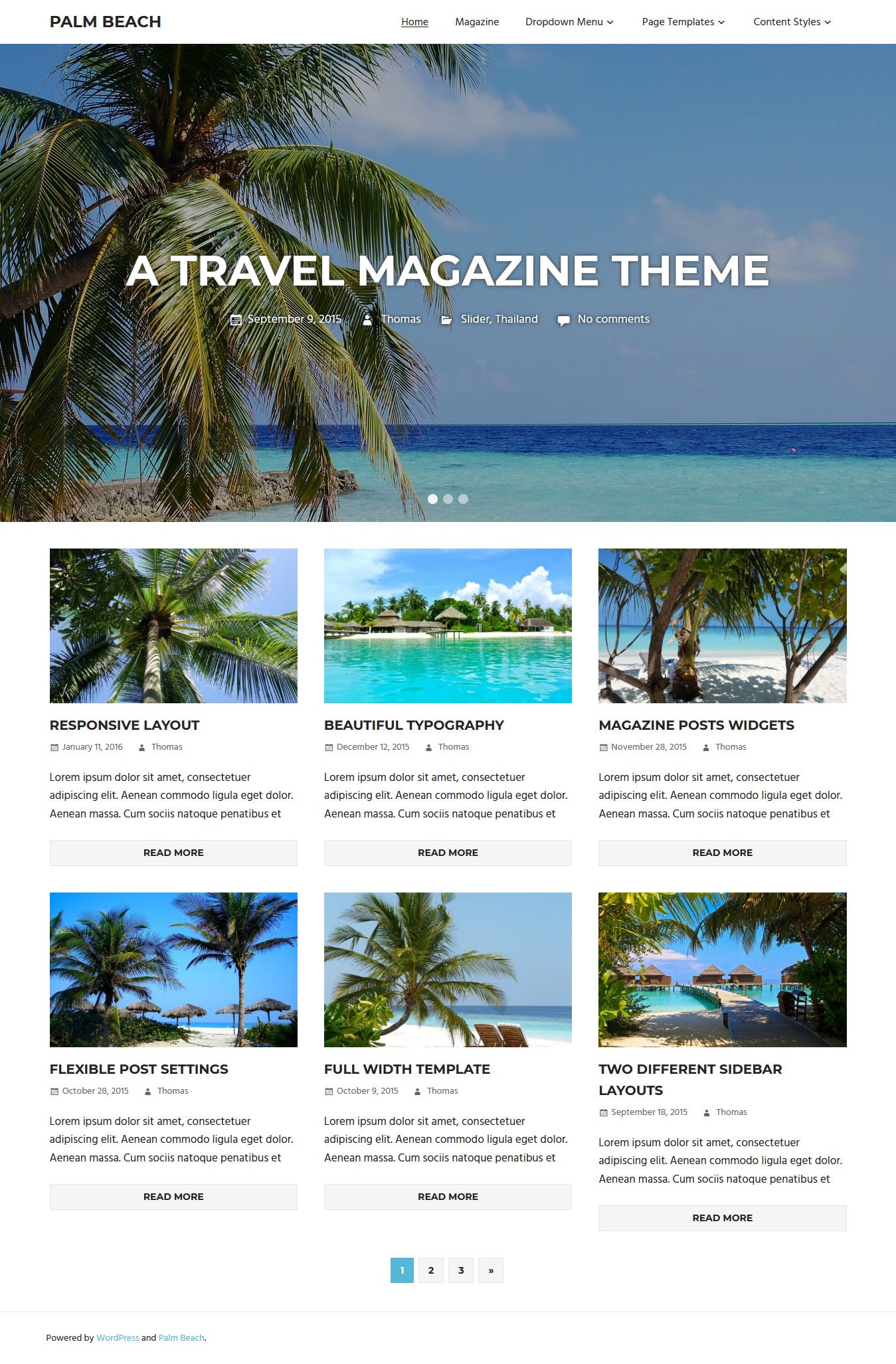10+ Best Free FullScreen WordPress Themes palm beach best free fullscreen wordpress theme - 10+ Best Free FullScreen WordPress Themes