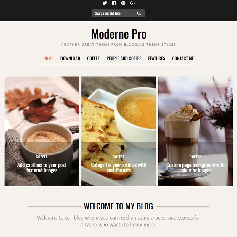 15 Best WordPress Feminine Blog Themes moderne pro - 15 Best WordPress Feminine Blog Themes