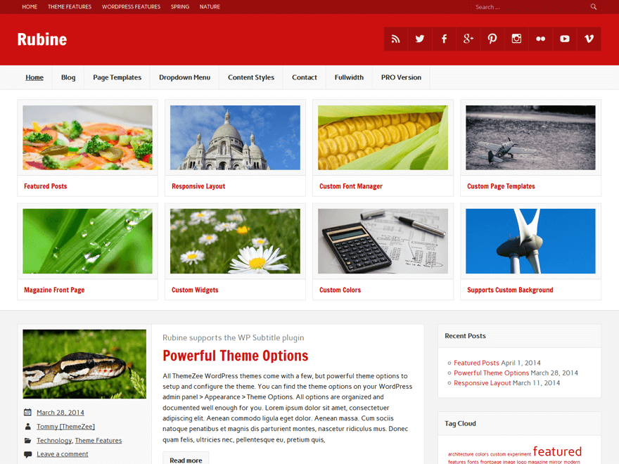 25+ Best Free Responsive Magazine WordPress Themes 2020 rubine lite