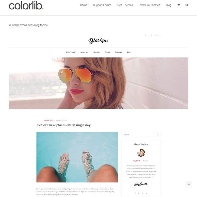 15 Best WordPress Feminine Blog Themes Blaskan - WordPress feminine blog theme