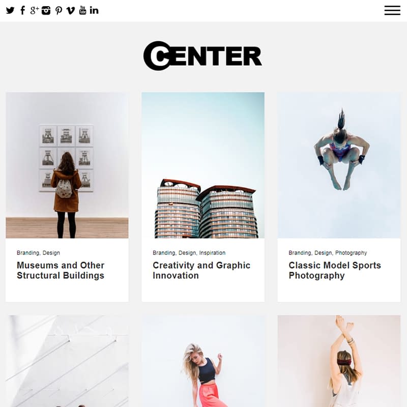 15 Best WordPress Feminine Blog Themes Center - WordPress feminine blog theme