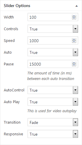How to add beautiful image slider in your WordPress website with WP1 Slider Pro? (Step by Step Guide) WP1 Slider: Slider Options