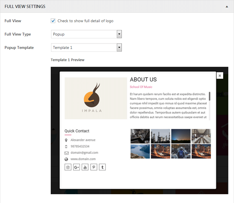 How to showcase your client’s logo elegantly on WordPress? (Step by Step Guide) Smart Logo Showcase: Full View Settings