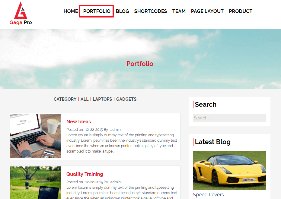 Everything you need to know about WordPress Multisite portfolio-layout-gaga-pro