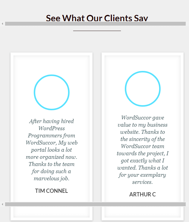 WordSuccor - Custom Development Service for WordPress WordSuccor Customization Service Client Portfolio