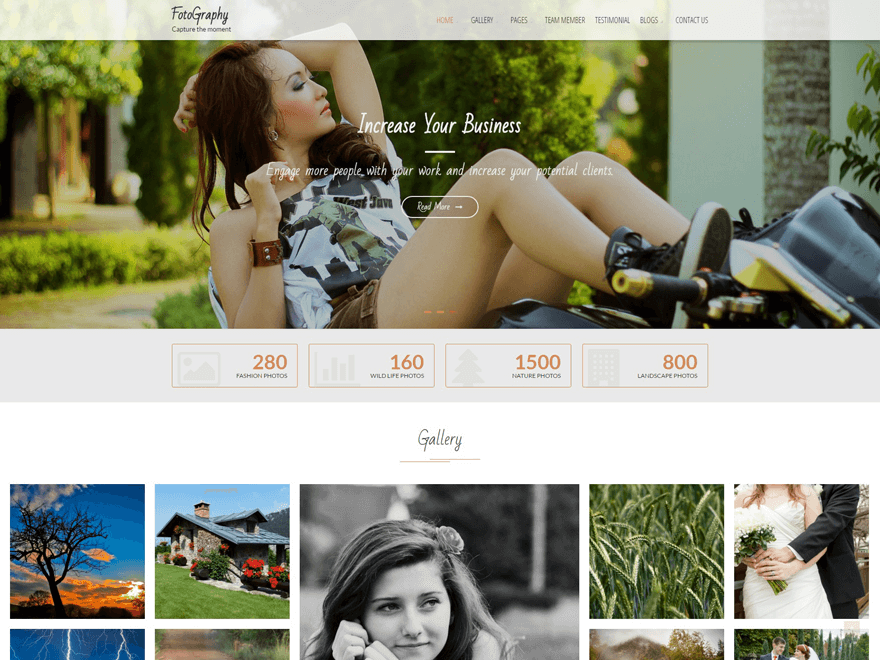 50+ Best Free Responsive WordPress Themes 2019 FotoGraphy - 50+ Best Free Responsive WordPress Themes 2019