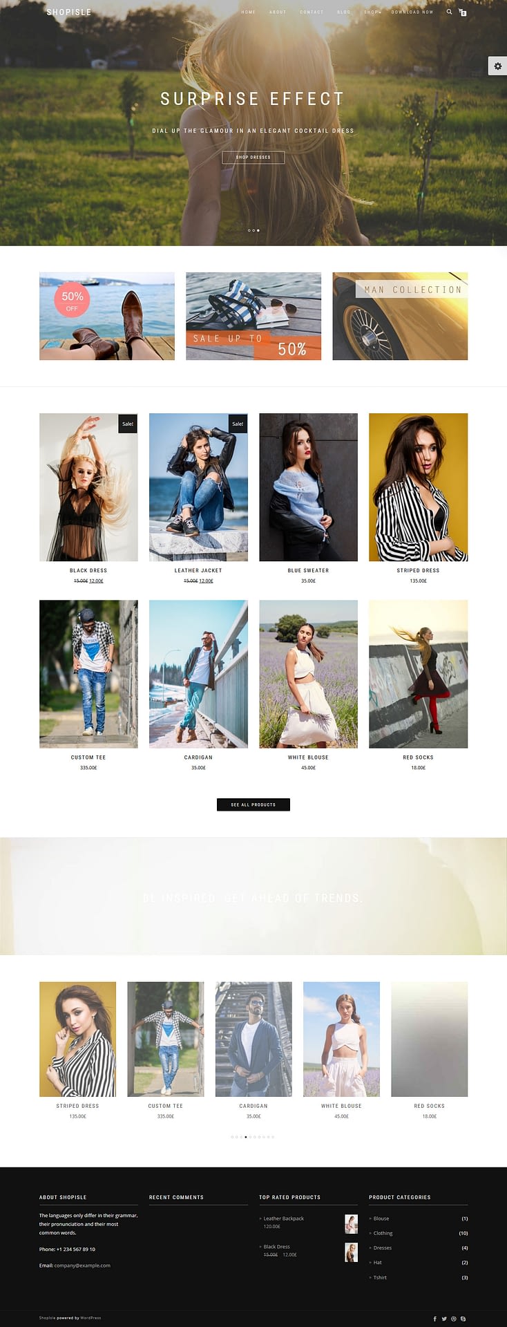 10+ Best Free FullScreen WordPress Themes shopisle best free fullscreen wordpress theme 1 - 10+ Best Free FullScreen WordPress Themes